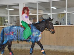 DSC_0228-2_web